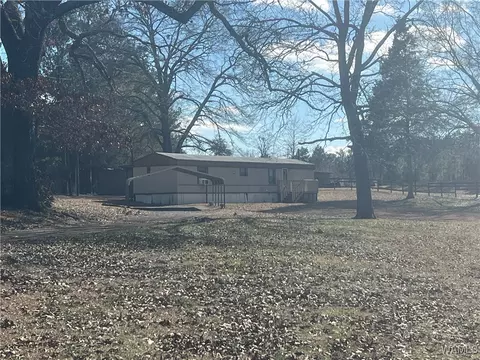 14857 Kepple Loop, Coaling, AL 35453 photo 15