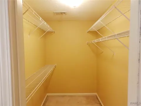 16357 Chase Cir, Ralph, AL 35480 photo 20