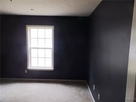 16357 Chase Cir, Ralph, AL 35480 photo 15