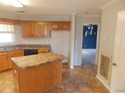 16357 Chase Cir, Ralph, AL 35480 photo 10
