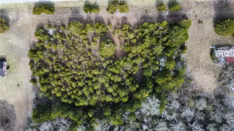 0 Old Hwy 80, Faunsdale, AL 36738