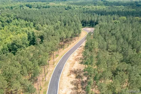 lot20 Stormi Way, Berry, AL 35546