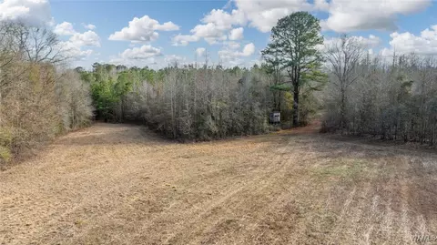 00 Brush Creek Dr, Akron, AL 35441