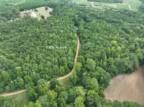 119 Twin Oaks Dr, Moundville, AL 35474