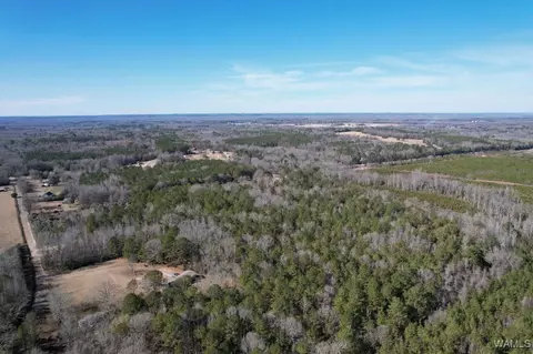 00 Gabriel Creek Rd, Moundville, AL 35474
