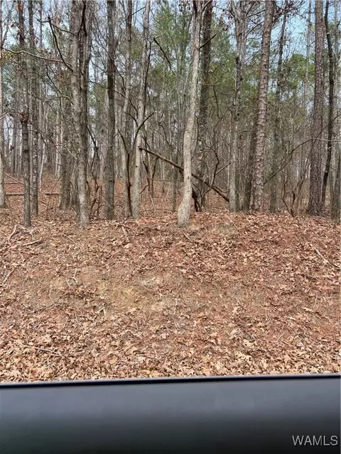 0 Monticello Ests, Duncanville, AL 35455