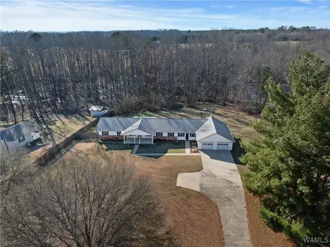 View/Area - 511 Lamon Chapel Loop, Jasper, AL 35503 photo 1 of 3