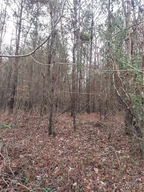 00000 Hwy 96, Fayette, AL 35555