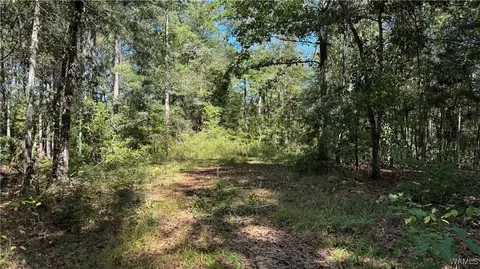 0002 Scottsville Rd, West Blocton, AL 35184