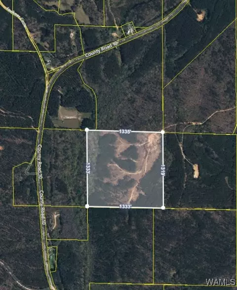 00 County Rd 10, Millport, AL 35576