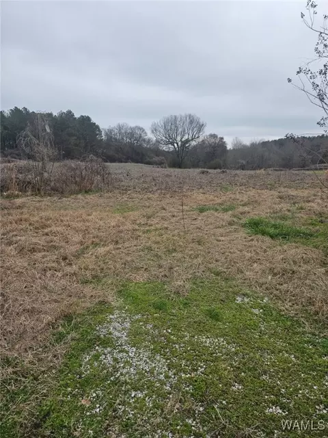 836 County Road 7, Greensboro, AL 36744