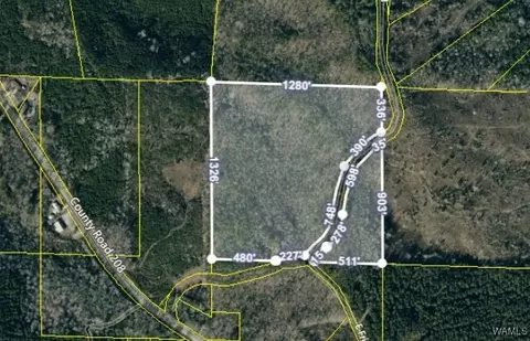 0 County Road 208, Union, AL 35462