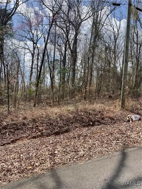 lot51 52 Oakhill Dr, Northport, AL 35473
