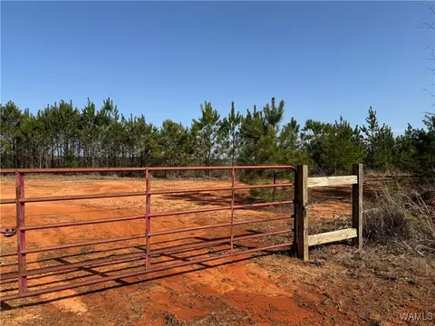 0 U S Highway 13 N, Fayette, AL 35555