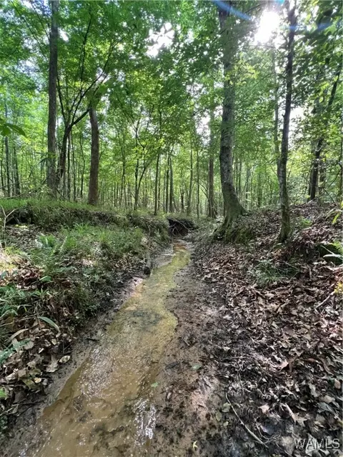 0 County Road 183, Marion, AL 36756