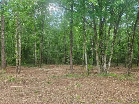 lot14 15 Magnolia Crk, Gordo, AL 35466