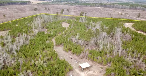 0 Dave Wells Cutoff Rd, Gordo, AL 35466