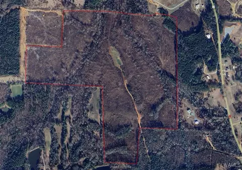 0 Gorgas Rd, Berry, AL 35546