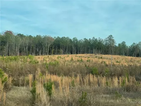 0 Co 17 Rd # -A, Millport, AL 35576