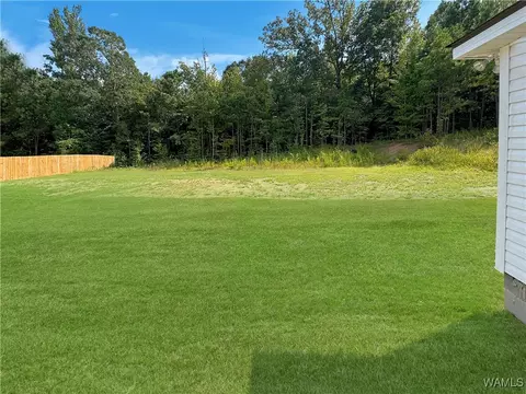 5941 73rd Pl E, Cottondale, AL 35453 photo 26