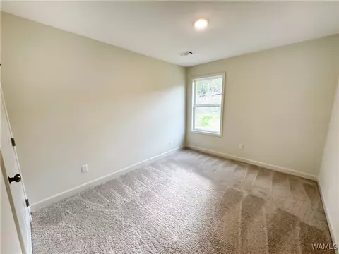 5941 73rd Pl E, Cottondale, AL 35453 photo 19