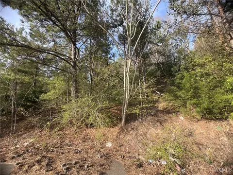0 Lexie Ln, Brookwood, AL 35444