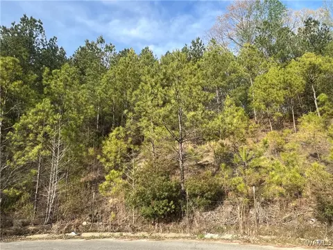 0 Stone Ridge Pkwy, Brookwood, AL 35444