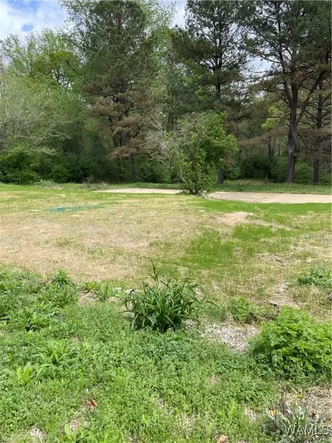 9309 Cleveland Rd, Northport, AL 35473