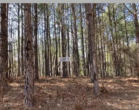 1 Tilly Branch Rd, Northport, AL 35475