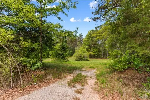 16365 Romulus Rd, Buhl, AL 35446 photo 12