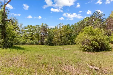 16365 Romulus Rd, Buhl, AL 35446 photo 48