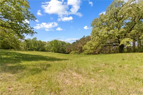 16365 Romulus Rd, Buhl, AL 35446 photo 7