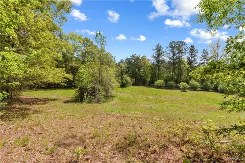 16365 Romulus Rd, Buhl, AL 35446 photo 13