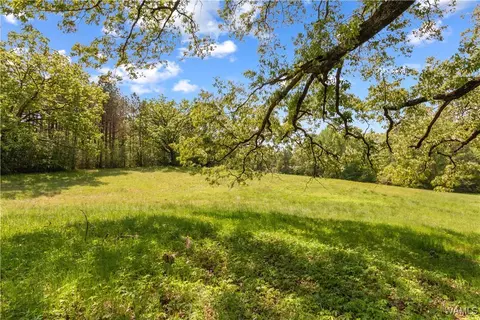 16365 Romulus Rd, Buhl, AL 35446 photo 43