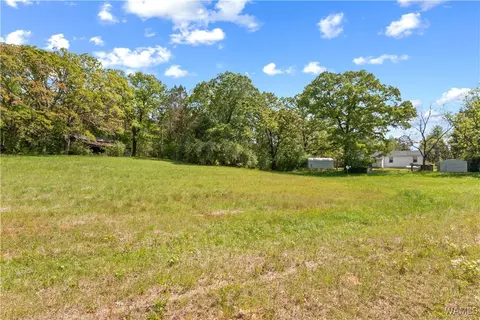 16365 Romulus Rd, Buhl, AL 35446 photo 6
