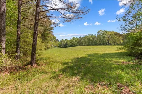 16365 Romulus Rd, Buhl, AL 35446 photo 45