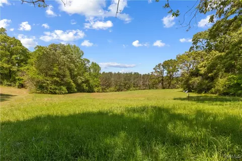 16365 Romulus Rd, Buhl, AL 35446 photo 5