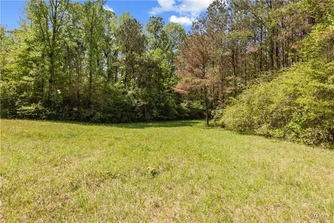 16365 Romulus Rd, Buhl, AL 35446 photo 42