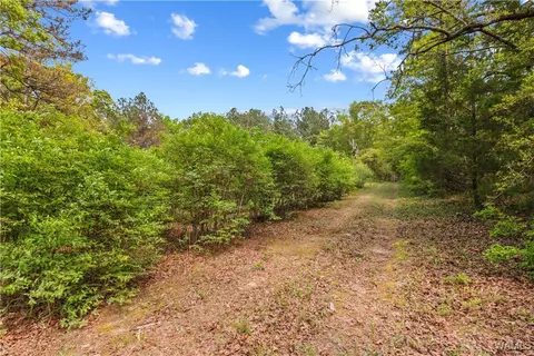 16365 Romulus Rd, Buhl, AL 35446 photo 14