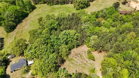 16365 Romulus Rd, Buhl, AL 35446 photo 2