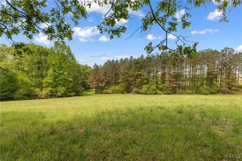 16365 Romulus Rd, Buhl, AL 35446 photo 44