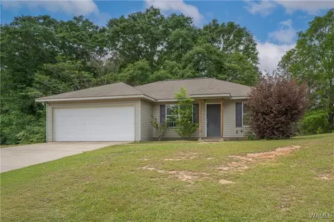 12594 Drift Bay Cv, Elrod, AL 35458