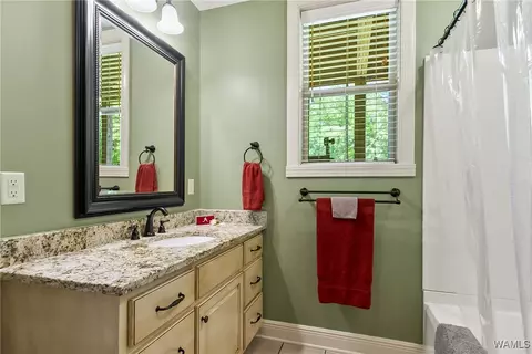 Bath - 17957 Romulus Rd, Ralph, AL 35480 photo 4 of 6