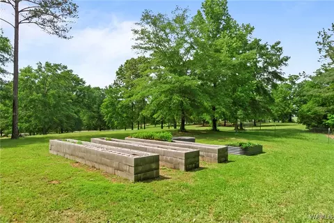 Exterior - 17957 Romulus Rd, Ralph, AL 35480 photo 12 of 12