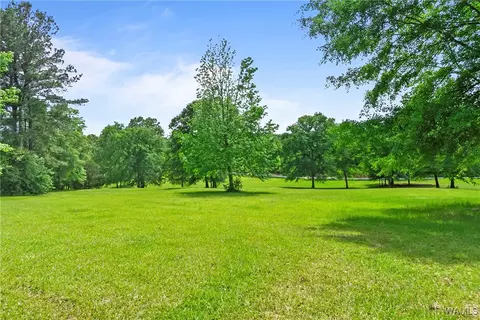 Other - 17957 Romulus Rd, Ralph, AL 35480 photo 20 of 21