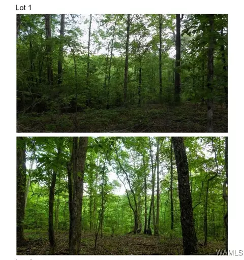 5890 Garner Rd, Tuscaloosa, AL 35405