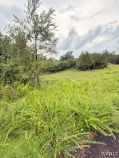 15 Davidson Rd, Reform, AL 35481