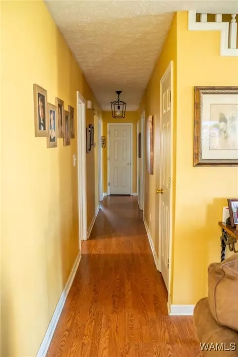 Entry Way - 1005 Dow St, Demopolis, AL 36732 photo 4 of 6