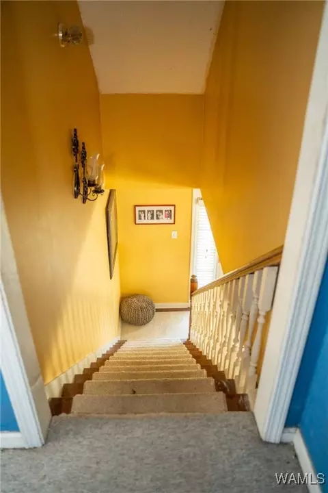 Entry Way - 1005 Dow St, Demopolis, AL 36732 photo 5 of 6