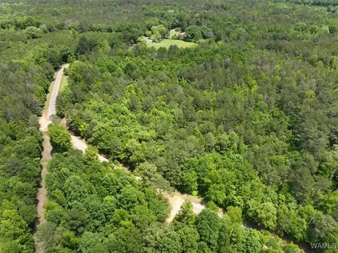 0 Yorkville Rd, Ethelsville, AL 35461